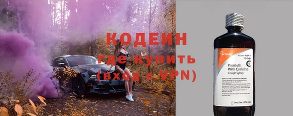 МДПВ Бородино