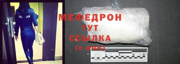МДПВ Бородино