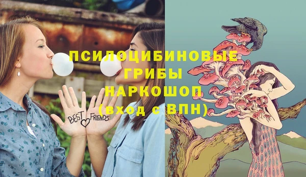 амф Бронницы