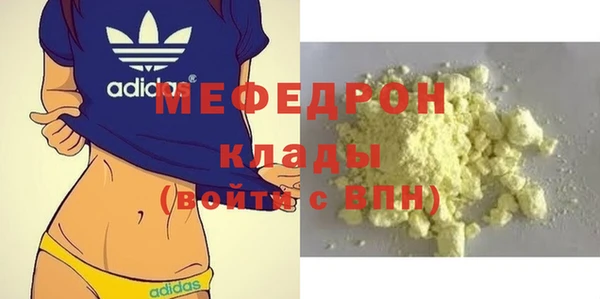 МДПВ Бородино