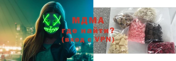 МДПВ Бородино