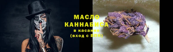 МДПВ Бородино