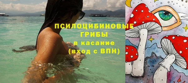 МДПВ Бородино