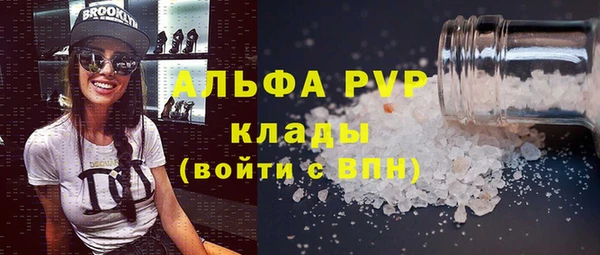 МДПВ Бородино