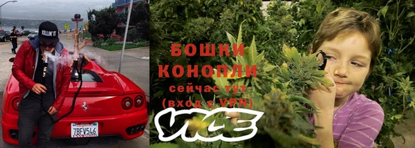 МДПВ Бородино