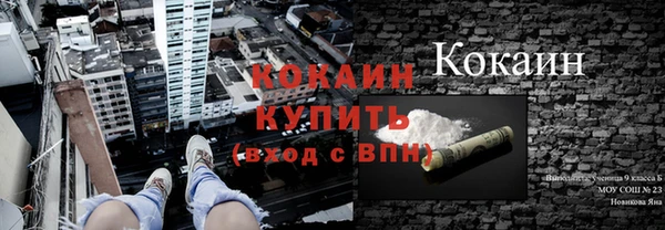 МДПВ Бородино