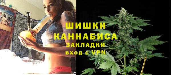 амф Бронницы