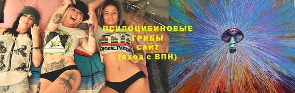 амф Бронницы