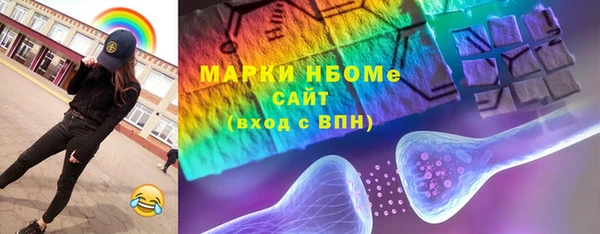 МДПВ Бородино