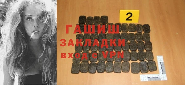 МДПВ Бородино