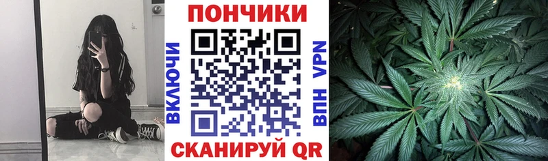 где найти   Волгореченск  Каннабис LSD WEED 